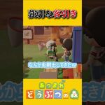 たぬき商店の存在を知らないカマボコちゃん【あつ森】