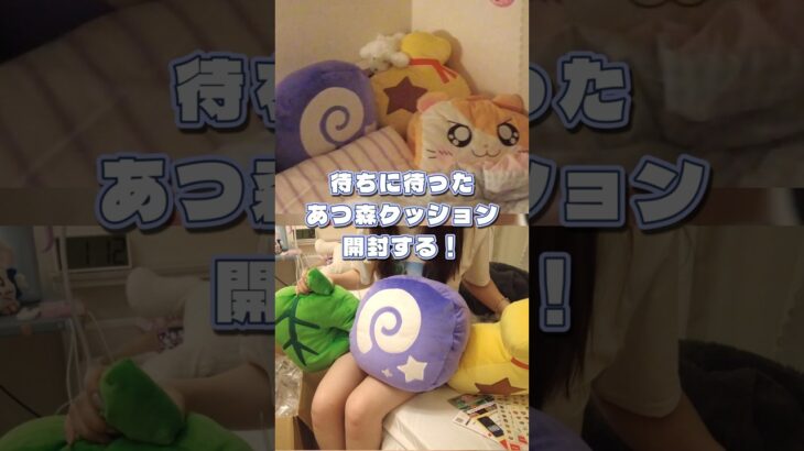 あつ森のクッションが届いた🎁！#あつ森 #ニンテンドーショップ #オタク部屋#開封動画 #あつまれどうぶつの森 #どうぶつの森 #グッズ開封