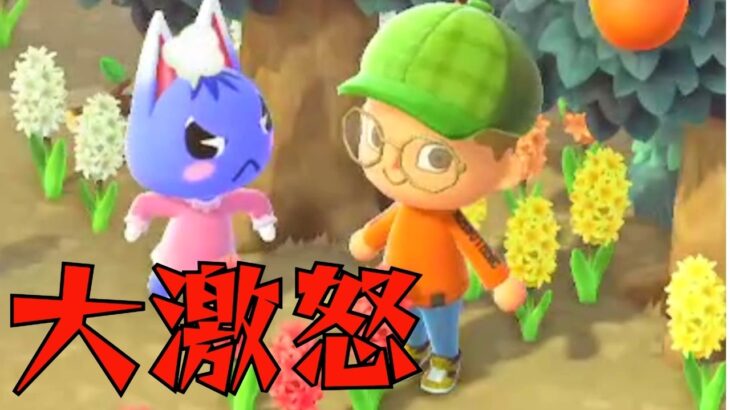 【あつ森】住民椅子に座れなくて激怒