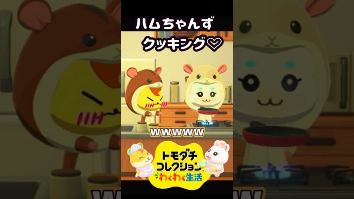 【トモコレ】あつ森のハムスケとゆきみの料理姿がかわいすぎる！