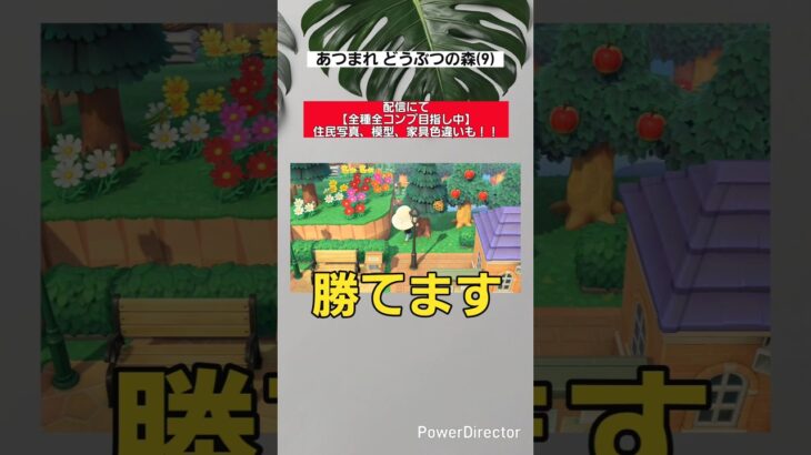 勝てます #あつ森