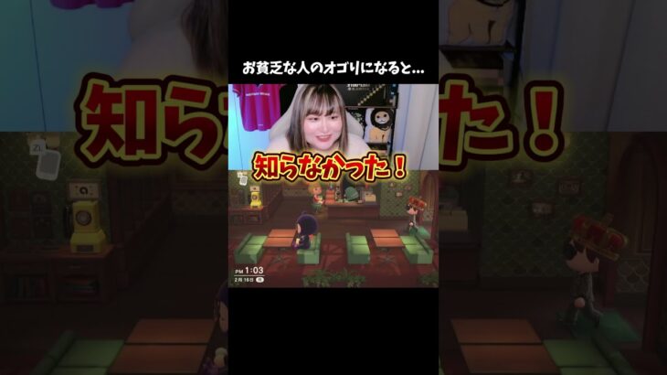 お代がが足らないと悲しい…【あつ森】