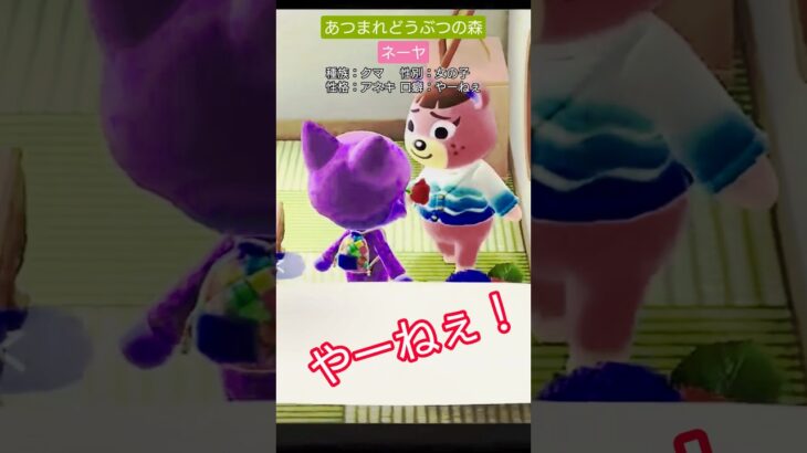 【#あつ森 】ネーヤ【#あつまれどうぶつの森 】