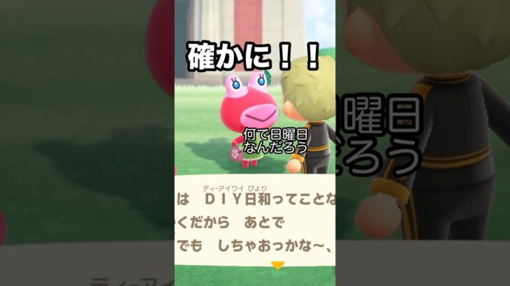 【あつ森】なるほど！！住民とのお話ですごく勉強になった