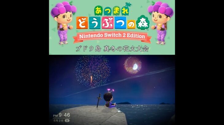 【あつ森】ブドウ島 真冬の花火大会