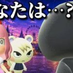 【あつ森アニメ】魔法少女を辞めろ【魔法少女ワンダーランド特別編】