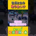 トラこちゃんも欲しいの…？【あつ森】 #あつ森 #ゲーム実況  #あつまれどうぶつの森