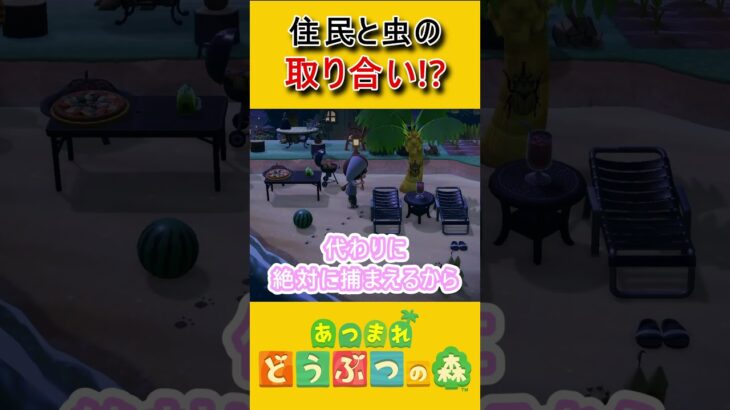 トラこちゃんも欲しいの…？【あつ森】 #あつ森 #ゲーム実況  #あつまれどうぶつの森