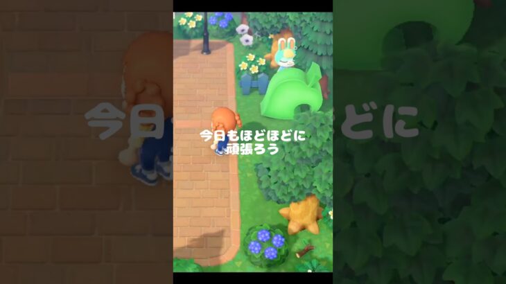 【あつ森】頑張らんでえーやん@user-lightnest #あつ森 #あつまれどうぶつの森