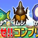縦ver.【あつ森】生き物コンプリート配信⚡ 12日目【あつまれどうぶつの森 Nintendo Switch 2 Edition】