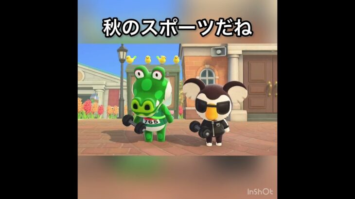 【あつ森】頑張れかわいい二人　#vlog #あつ森 #あつまれどうぶつの森 #こはくちゃんねる2424   #毎日更新中