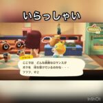 【あつ森】いらっしゃい　#vlog #あつ森 #あつまれどうぶつの森 #こはくちゃんねる2424   #毎日更新中