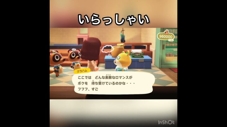 【あつ森】いらっしゃい　#vlog #あつ森 #あつまれどうぶつの森 #こはくちゃんねる2424   #毎日更新中