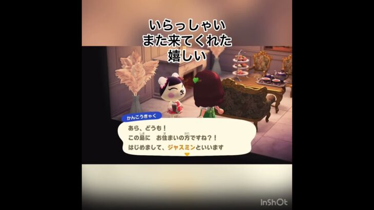 【あつ森】またきてくれた　#vlog #あつ森 #あつまれどうぶつの森 #こはくちゃんねる2424   #毎日更新中