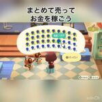 【あつ森】青い薔薇売ったらいくらかな？　#vlog #あつ森 #あつまれどうぶつの森 #こはくちゃんねる2424   #毎日更新中