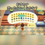 【あつ森】おサカナ売ったらいくらかな？　#vlog #あつ森 #あつまれどうぶつの森 #こはくちゃんねる2424   #毎日更新中