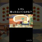 【あつ森】トマト売ったらいくらかな？　#vlog #あつ森 #あつまれどうぶつの森 #こはくちゃんねる2424   #毎日更新中