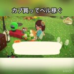 【あつ森】カブ売ったらいくらかな？　#vlog #あつ森 #あつまれどうぶつの森 #こはくちゃんねる2424   #毎日更新中