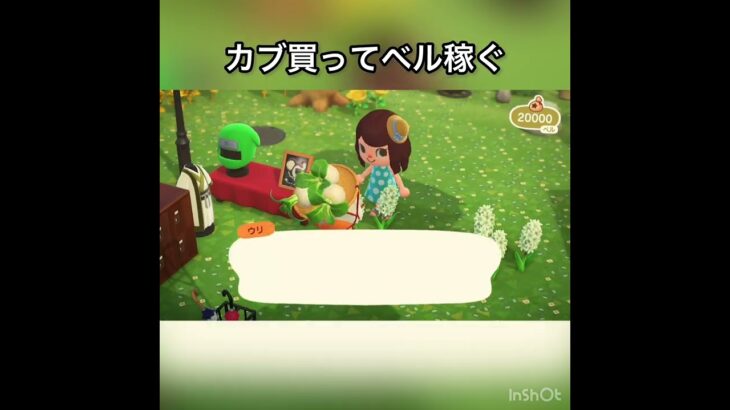 【あつ森】カブ売ったらいくらかな？　#vlog #あつ森 #あつまれどうぶつの森 #こはくちゃんねる2424   #毎日更新中