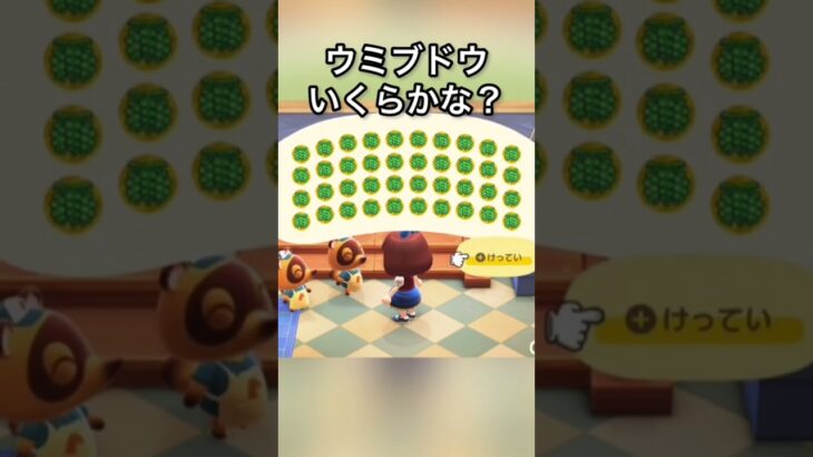 【あつ森】売ったらいくら？　かわいい　#vlog #あつ森 #あつまれどうぶつの森 #こはくちゃんねる2424   #毎日更新中