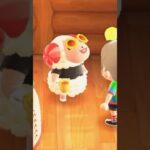 【あつ森】ちゃちゃまるの可愛いトレーニングメニュー  #あつまれどうぶつの森 #あつ森ちゃちゃまる #あつ森vlog