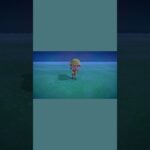 【あつ森】 ヘラクレスオオカブト捕獲vlog