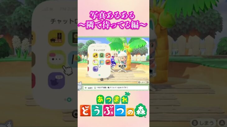 早いっ！！！  #あつ森  #vtuber #ゲーム実況