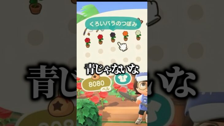 青バラに情緒を狂わされる #あつ森 #青バラ #vtuber #ゲーム実況 #ここまめ #shorts