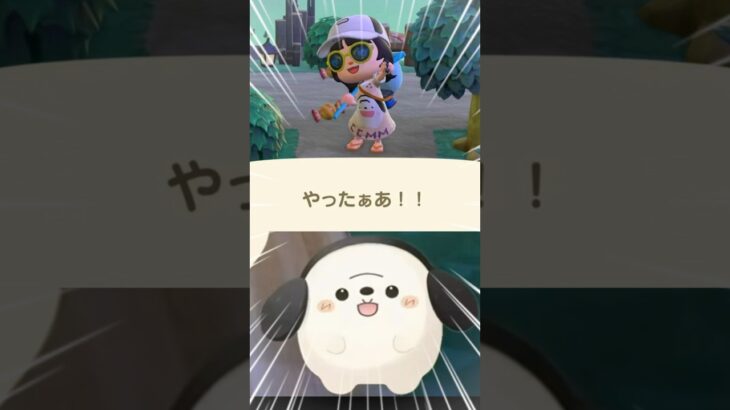 虫コンプ後の悲劇 #あつ森 #ここまめ #vtuber #ゲーム実況 #shorts