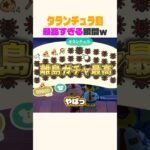 タランチュラ島が楽しすぎるw #あつ森