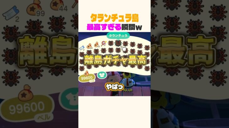 タランチュラ島が楽しすぎるw #あつ森