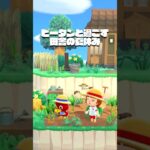 【あつ森】🌻日本の夏休み with ピータン / Japanese Summer Vacation with Bill