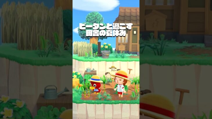 【あつ森】🌻日本の夏休み with ピータン / Japanese Summer Vacation with Bill