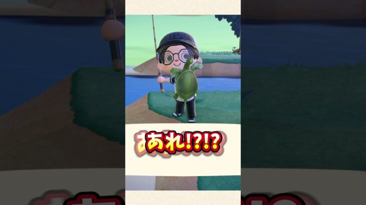 【あつ森】意外とレア！？めっちゃ久しぶりにスッポン釣ったw【あつまれどうぶつの森】#shorts #あつ森
