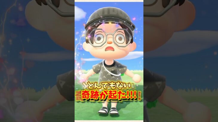 【あつ森】たぬきちの奇跡！？離島ガチャでとんでもない結果がw【あつまれどうぶつの森】#shorts #あつ森