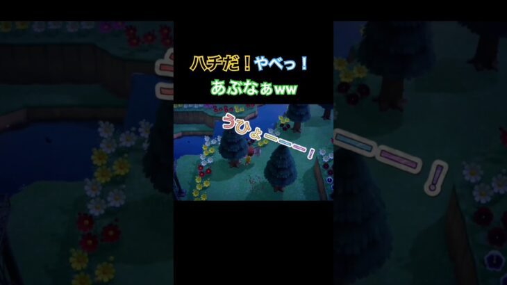 なにしてるのよww#あつまれどうぶつの森 #あつ森 #animalcrossing
