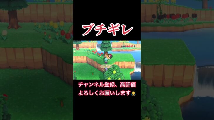 さすがにキレすぎだろwww#あつまれどうぶつの森 #あつ森 #どうぶつの森 #実況プレイ #ゲーム実況 #ブチギレ