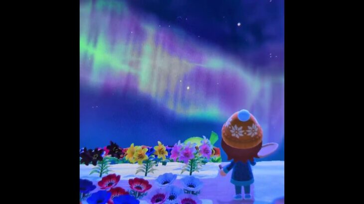 あつ森数年やってて初めてオーロラ見ました。綺麗すぎて思わず録画してしまいましたwww