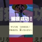【あつ森】魚釣り中にまさかのサソリが現れたwww
