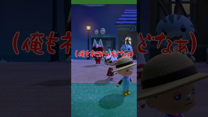 【あつ森ショート】かぶきちも混ぜてあげてね？？www #あつ森 #あつまれどうぶつの森 #animalclossing #ゲーム配信 #しゅまのゲーム帳