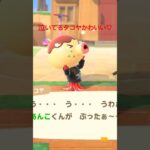 【あつ森】タコヤを泣かせてみたwwwww #shorts #あつ森