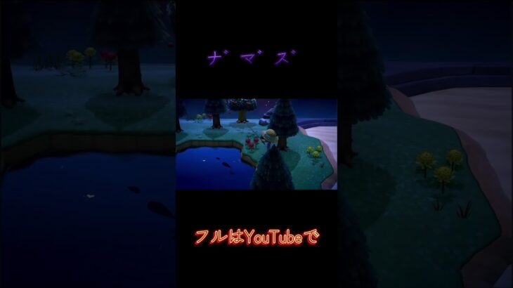 【あつ森】ナマズ #天猫丸 #あつまれどうぶつの森 #どうぶつの森 #任天堂 #youtube #ゲーム実況 #釣り