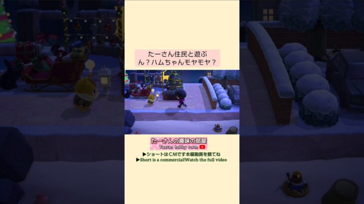 【あつ森】ハムちゃんがモヤモヤ出してる@たーさんの趣味の部屋 #たーさん住民と遊ぶ#あつ森ハムスケ#youtubeshorts
