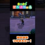 【あつ森】秋ですな～！(＃02)  #shorts #あつ森 #あつまれどうぶつの森
