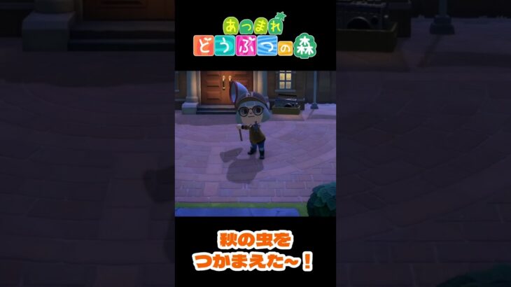 【あつ森】秋ですな～！(＃02)  #shorts #あつ森 #あつまれどうぶつの森