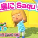 【あつ森】いちからはじめる島生活 | サクッとゆったりライフ#1 #animalcrossing