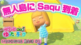 【あつ森】いちからはじめる島生活 | サクッとゆったりライフ#1 #animalcrossing