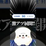 あつ森連続100ピチしてみた #あつ森 #ここまめ #vtuber #ゲーム実況 #shorts