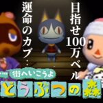 村に灯台を建てるべく100万ベル目指してカブします！#42【街へいこうよどうぶつの森】