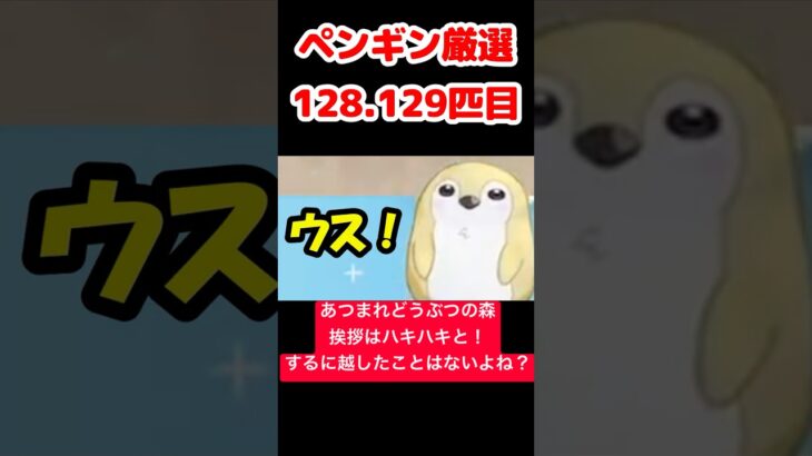 【あつ森】ペンギン厳選128.129匹目 #vtuber  #ゲーム実況